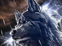 stormwolf09