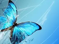 catesonskates catesonskates