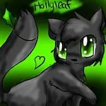 Catkitten1200 Catkitten1200