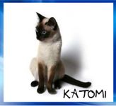 katomi