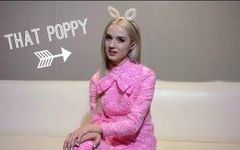 POPPY FANS