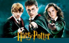 Harry Potter super huge extraordinary fans club