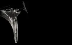 scp characters i need names for scp characters i need names for