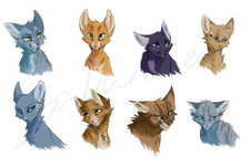 Warrior cats page! Art, fan fiction, drawings, and anything to do with warriors