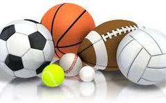 Which sport do you like the most?