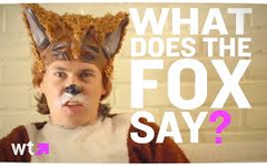 Do you like the song, What Does The Fox Say?