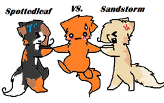 Do you think Firestar should be with Sandstorm or Spottedleaf?