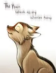 What do you think of Sandstorm? What do you think of Sandstorm?