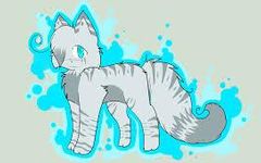 Silverstream or Millie?