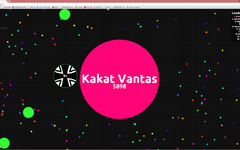 What's your highest rank on Agar.io?