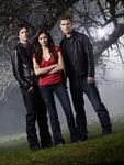 Vampires, Diaries and Love