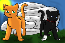 Warrior cats name (Prefix)