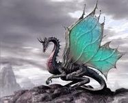 Dragon Type Quiz (1)