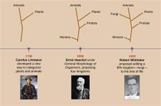 Test Your Knowledge on Evolution