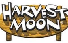 Which Harvest Moon Character Are You?