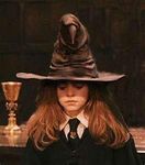 Harry Potter Sorting hat!