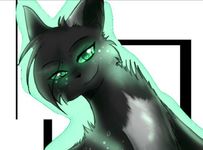 Do you love Hollyleaf?