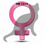 Which she cat are you?