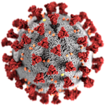 Corona Viruses COVID-19 Check