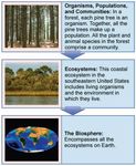 Test Your Knowledge in Ecology