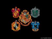 What Hogwarts House Are You In? (6)