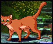 Which of my warrior cats ocs are you? (1)