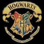 The Hogwarts Sorting Hat Quiz :)