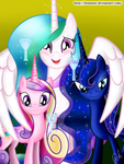 what my little pony: friendship is magic, princess are you