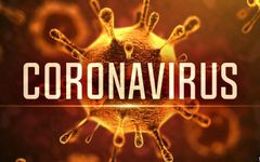 Should YOU be afraid of the coronavirus