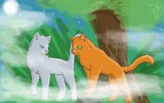 Are you Bluestar or Firestar?