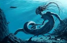 Mystical Mermaids Quiz