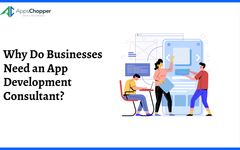 Why Do Businesses Need an App Development Consultant?