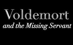 Voldemort and the Missing Servant