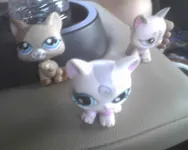 how can i get my crush to like me i like a guy but how can i get him to like  i just wanna see your guys' opinion how can i get my crush to like me i like a guy but how can i get him to like  i just wanna see your guys' opinion