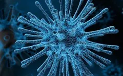 Are you afraid of the new coronavirus (COVID-19) ? Why yes, why not? Are you afraid of the new coronavirus (COVID-19) ? Why yes, why not?