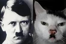 Do you see the comparison? Do you see the comparison? Do you see the comparison? Do you see the comparison?
