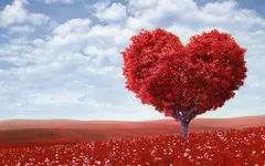 What are you gonna do for Valentines Day ? valentines day is tomorrow and i'm so exited :) What are you gonna do for Valentines Day ? valentines day is tomorrow and i'm so exited :)