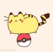 Go Pikasheen!