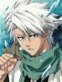 Toshiro Hitsugaya