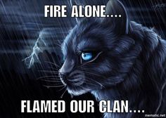 Feelz bad Bluestar..