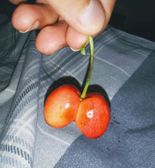 This cherry T H I C C