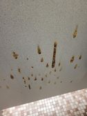 Someone set a fire in the boys bathroom at some point-