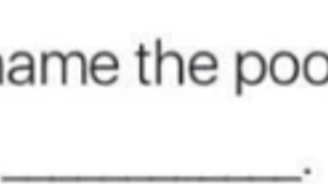 make something up to put in the blank. make it as stupid as possible