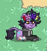 FIRST PONYTOWN DESIGN