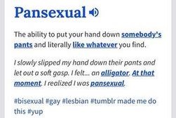 Urban dictionary is weird...