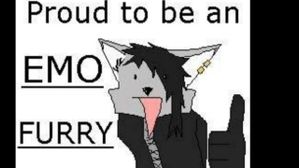 star if ur an emo furry!!1!