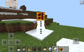 Poor snow golem