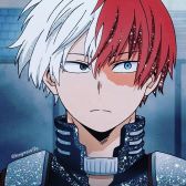 Shoto todoroki?