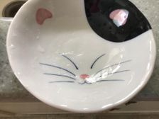 Catty bowl!