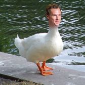 beneduck cumberquack